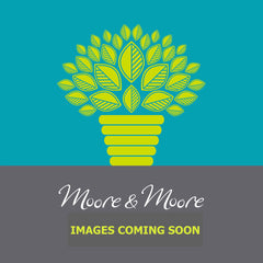 Image of Dryopteris diltata - Broad Buckler Fern [AGM]